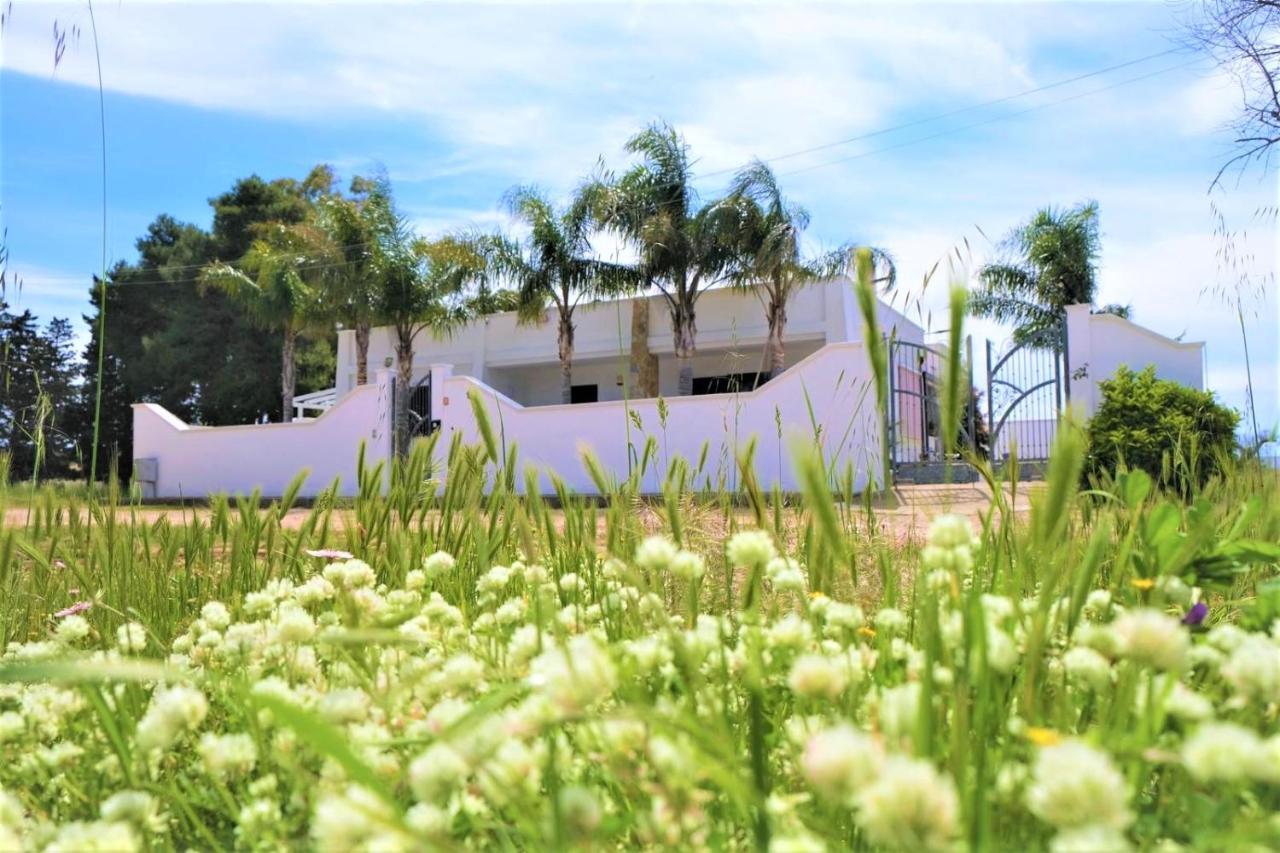 Da Casa Tiziana Hotell Porto Cesareo Exteriör bild